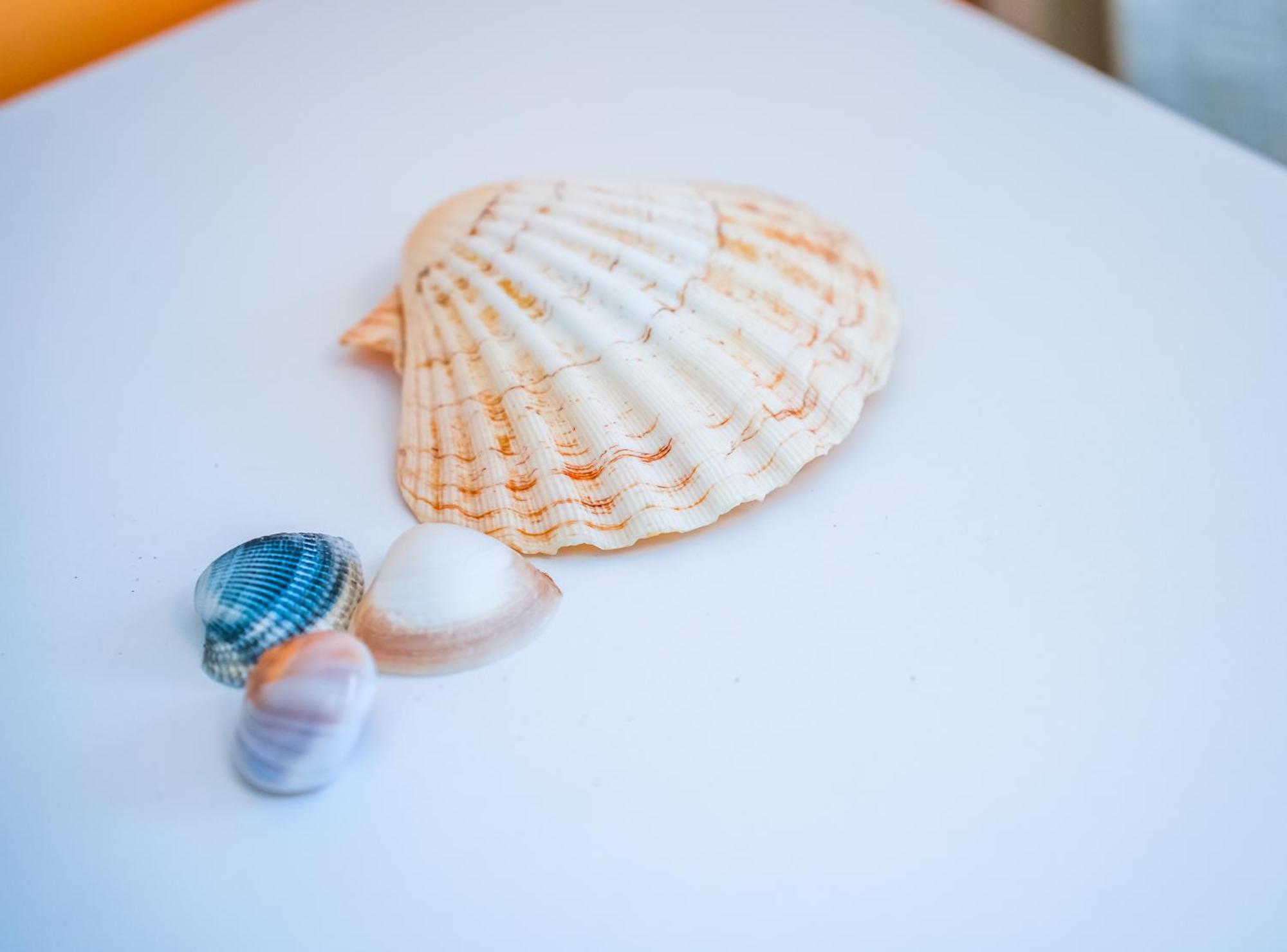 Residence Abruzzo Resort トルトレート エクステリア 写真